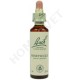 Bach Flower Remedies for Animals - Honeysuckle